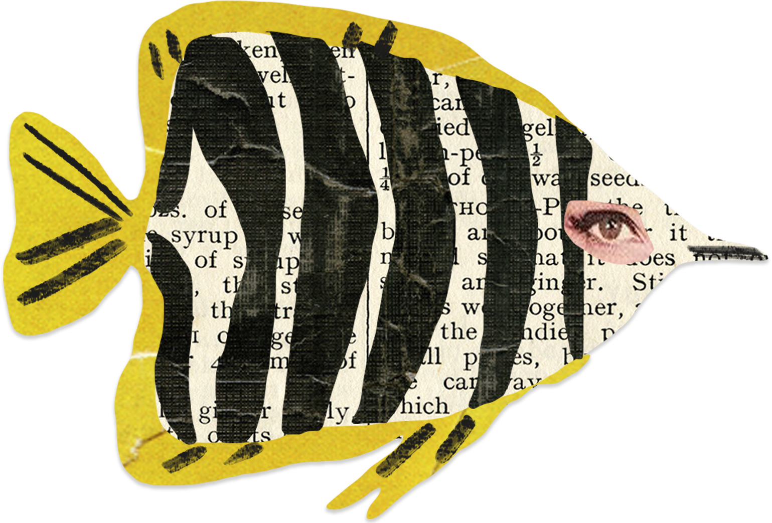 Collage fish