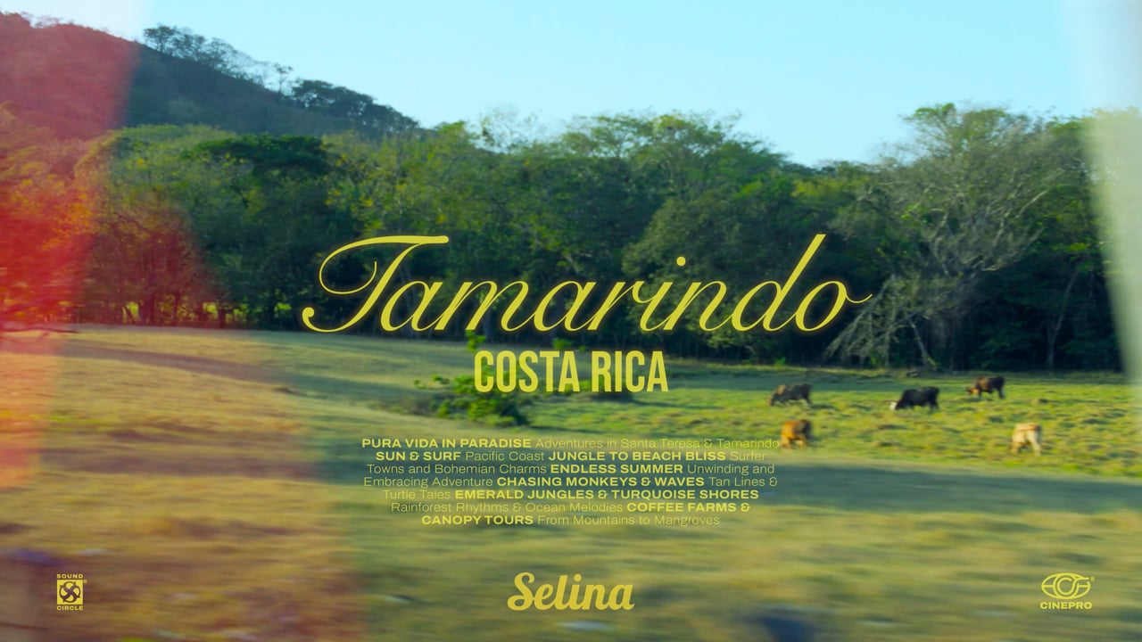 Pura Vida Paradise: Exploring the Jungles & Beaches of Costa Rica video still